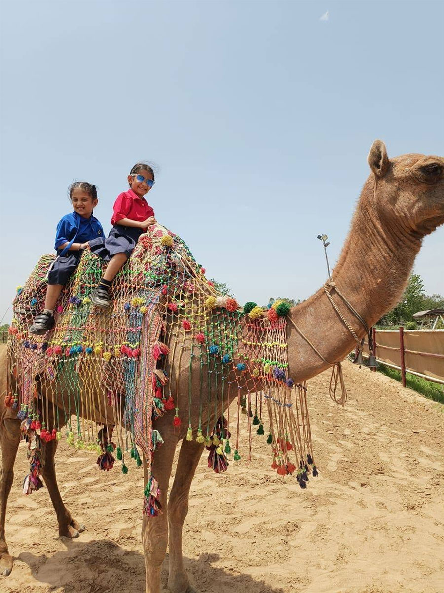 A Fun-Filled Field Trip to Horse Shoe Cafe image 12