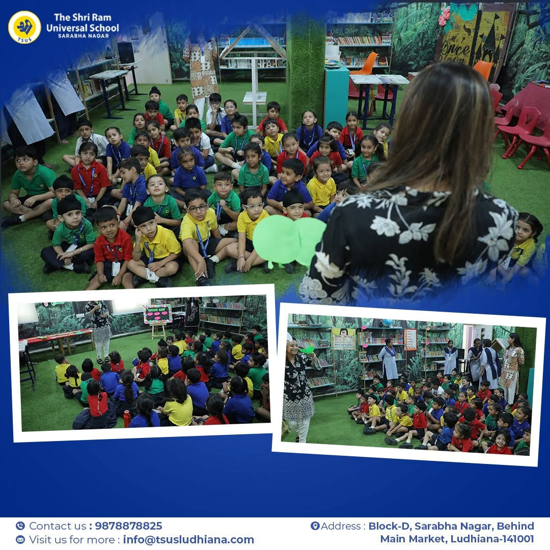 Delightful Stotyline Activity image 1