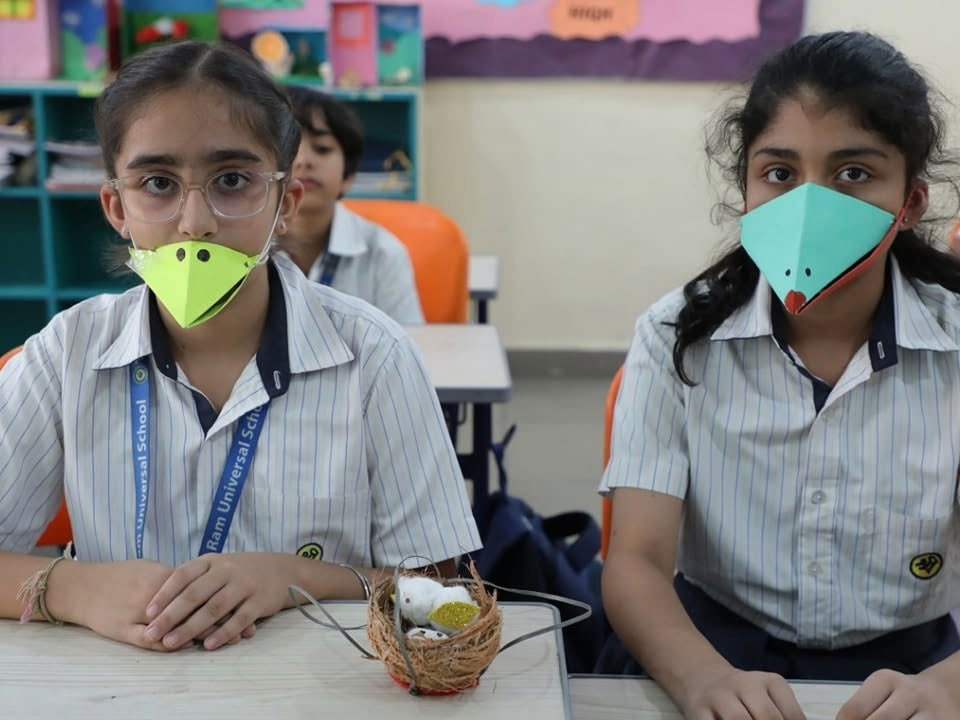 Bird Beak Adaptations: Learning Through Activity image 5